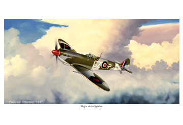 Flight of the Spitfire by Marc Stewart